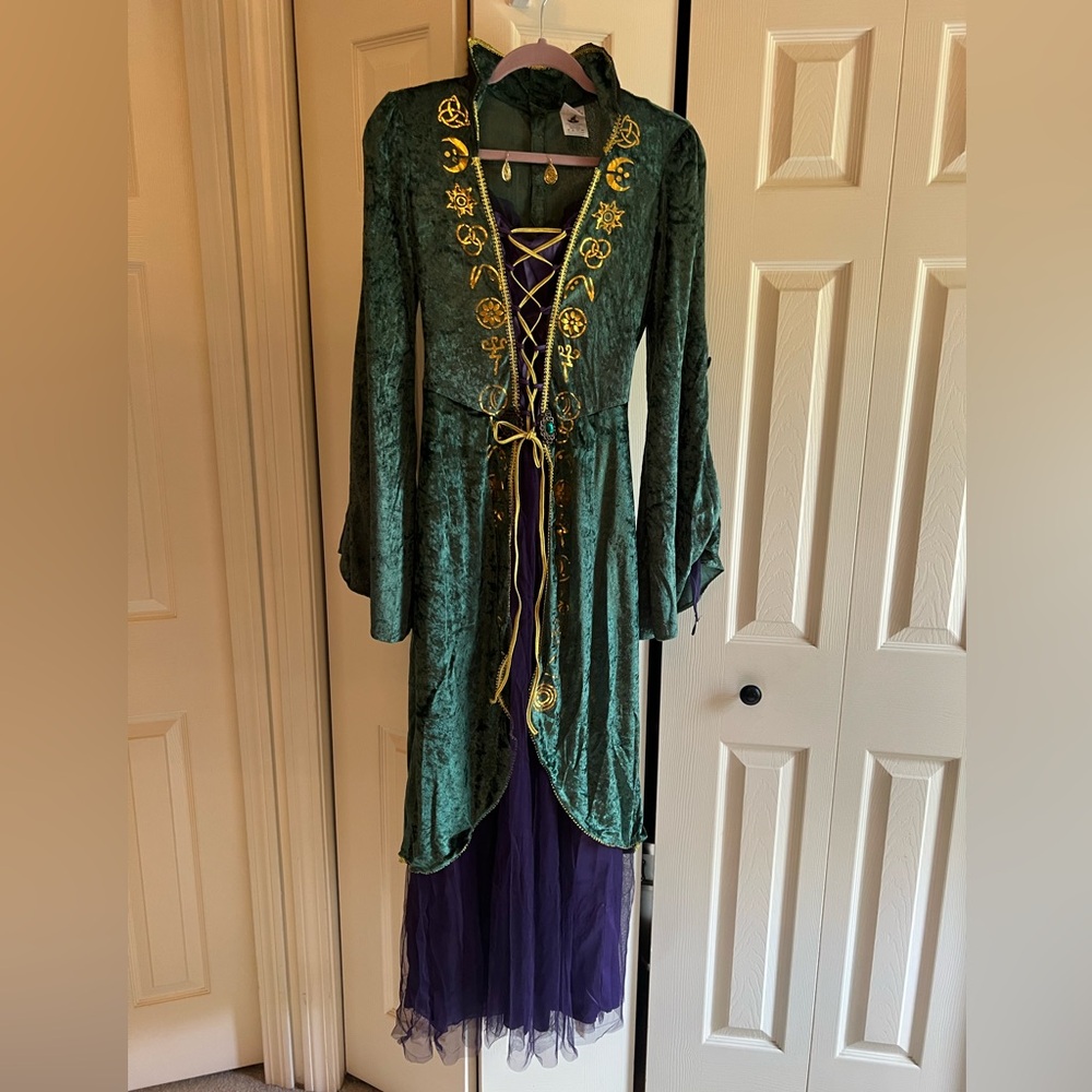 Winifred Sanderson Hocus Pocus Halloween Costume Adult Medium